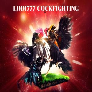 casino cockfighting soloph avatar