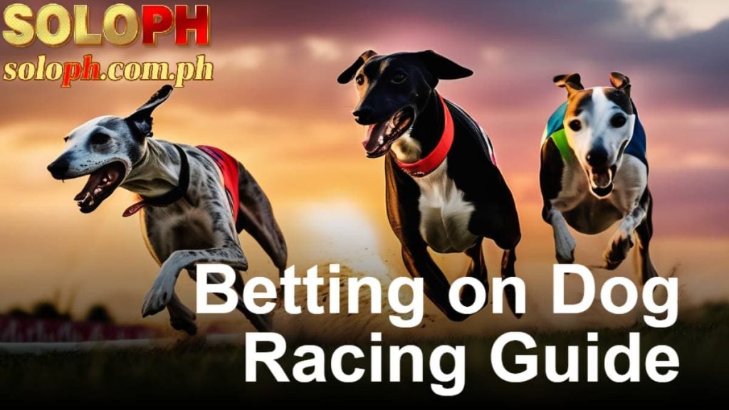 dog racing betting soloph blog 108