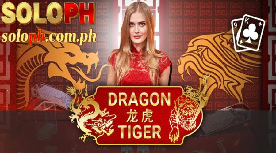 dragon tiger soloph blog 18